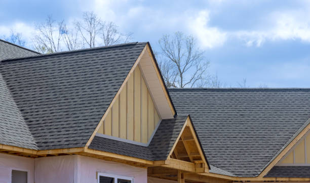Best Skylight Installation and Repair  in South Cleveland, TN